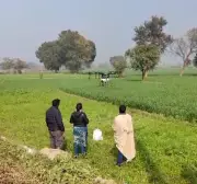 National Training Course on Conservation Agriculture Launches at PAU, Ludhiana