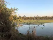 Navi Mumbai's Flamingo Lake Stuck in Red Tape as Migratory Birds Delay Arrival