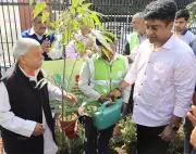 NDMC Vice Chairman Leads Major Tree Plantation Drive in Delhi