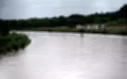 NGT Directs 5 States to Implement CIFRI Plan for Yamuna River Revival