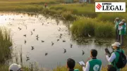 NGT Directs MP, Rajasthan to Adopt Chhattisgarh's 'Wetland Mitra' Model for Conservation