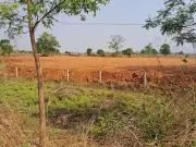 NGT Issues Notice Over Illegal Soil Excavation in Odisha's Balangir District