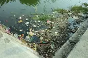 NGT Orders Nagpur Civic Body to Submit Sewage Plan for Futala Lake