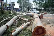 NHAI Felled 83,000 Trees in Uttarakhand, RTI Reveals Compensatory Afforestation Gaps