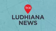 NRI's Sword-Wielding Defense Leads to Arrests in Punjab Highway Robbery Attempt