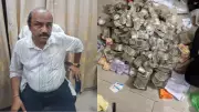 Odisha Corruption Scandal: Rs 427 Crore Cash Found in Trolley Bags at Officer's Home