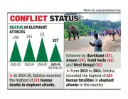 Odisha Records Highest Human Deaths Per Elephant in India, Report Reveals