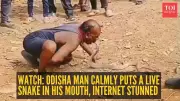 Odisha Snake Handler's Jaw-Dropping Viral Video: Snake in Mouth Stuns Internet