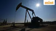 Oil Prices Drop 1% as US-Iran Talks Ease Supply Fears, MCX Crude Falls 2%