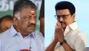 OPS Predicts Stalin's Return as Tamil Nadu CM, Sparks Political Debate