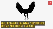 Optical Illusion Personality Tests: What You See First Reveals Your Deepest Fears
