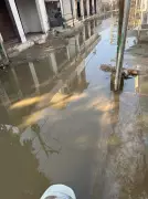 Overflowing Sewers in Sirhind Spark Public Health Crisis in Residential Areas