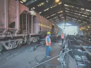 Paradip Port Sets New Record for Single-Day Thermal Coal Unloading