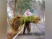 PAU Seminar in Amritsar Empowers Farmers for Higher Sugarcane Yield