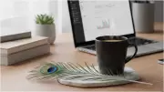 Peacock Feathers in Offices: Boosting Focus, Harmony, and Growth