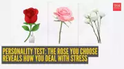 Personality Test: Your Rose Choice Reveals Your Stress Management Style