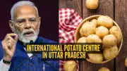 PM Modi Approves International Potato Centre in UP: Boosting Agriculture & 9 Must-Try Dishes
