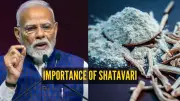 PM Modi's Panch Pran Goal Embraces Shatavari: Ayush Ministry's New Initiative
