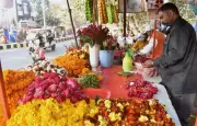 Prayagraj Rose Prices Double Amid Cold Winter, Wedding Season Demand