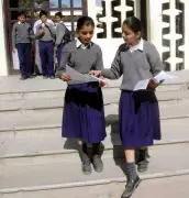 PSEB Class VIII Science Paper Error: Punjabi Translations Missing, Causes Exam Hall Confusion