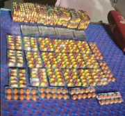 Pudukkottai Police Seize Rs 9.6 Crore Narcotics, Arrest Four Smugglers