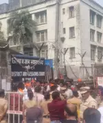 Pune Court Grants Bail in Hydroponic Weed Case, Citing Intermediate Quantity