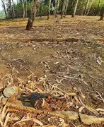 Pune IGR Grants Hearing to Amadea Enterprises in Rs 22.47 Crore Stamp Duty Dispute