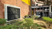 Punjab High Court Questions Developer's Tree Felling Plea for Marriage Hall Project