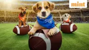 Puppy Bowl XXII Returns in 2026: Date, Time, and Where to Watch