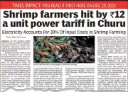 Rajasthan Budget Offers Power Tariff Relief to Struggling Shrimp Farmers