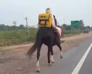 Rajasthan Elderly Man Delivers Blinkit Order on Horse, Wins Internet Praise