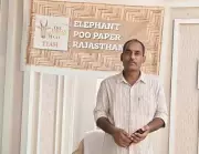 Rajasthan Innovator Crafts Eco-Friendly Paper from Elephant Dung, Inspires Green Business