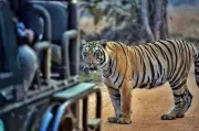 Rajgir Zoo Safari and Nature Safari to Close for Holi on March 3-4