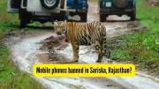 Ranthambore and Sariska Tiger Reserves Ban Mobile Phones on Safaris