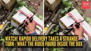 Rapido Delivery Boy's Viral Trash Delivery Sparks Online Debate