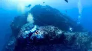 Seamounts: The Underwater Mountains That Are Shark Metropolises