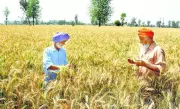 Seeds Bill 2025: A Critical Analysis of Its Impact on Indigenous Seeds in India