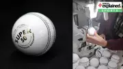 SG Super 50: Can a Durable Leatherette Ball Revolutionize Cricket Academies?