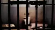 Shimla Police Detain Two Habitual Drug Offenders Under PIT NDPS Act