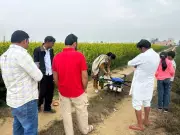 Sirsa Farmers Embrace Drone Tech, But Widespread Adoption Faces Hurdles