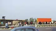 Sleeper Bus Crash on Purvanchal Expressway Kills 7, Injures 21 in Lucknow