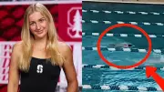 Stanford Swimmer Addison Sauickie Collapses After Terrifying Mid-Race Incident at ACC Championships