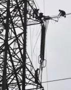 Tamil Nadu to Finalize Bidder for Major 1,500 MWh Battery Energy Storage System