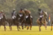 Team Jaipur vs V Polo in KogniVera Polo Cup Final at Rajasthan Polo Club