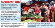 Telangana Faces Severe Vegetable Shortfall Despite Favorable Conditions