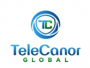 Telecanor Global's Stunning Turnaround: Q4 PAT Soars 2300% YoY, 25% QoQ