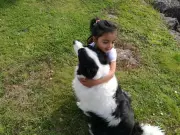 The Profound Impact of Having a Dog in the Family: A Comprehensive Look