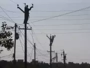 TN Power Corp Hires Extra Summer Staff, Experts Warn of Safety Risks