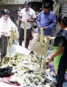 Tobacco Enforcement Gap in Chennai: Despite Raids, Illegal Trade Thrives Near Schools