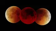 Total Lunar Eclipse 2026: Blood Moon Visibility Details for March 3-4